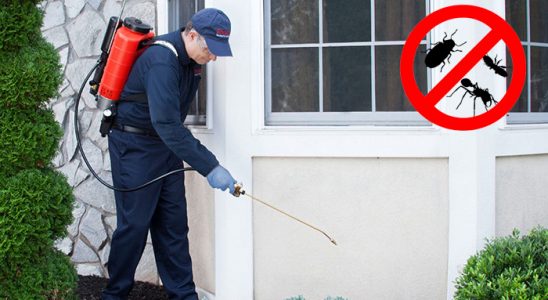 Çameli Kemirgen İlaçlama böcek ilaçlama ve haşere kontrolü — ilaclama-tr.com